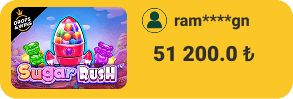 Winner 14